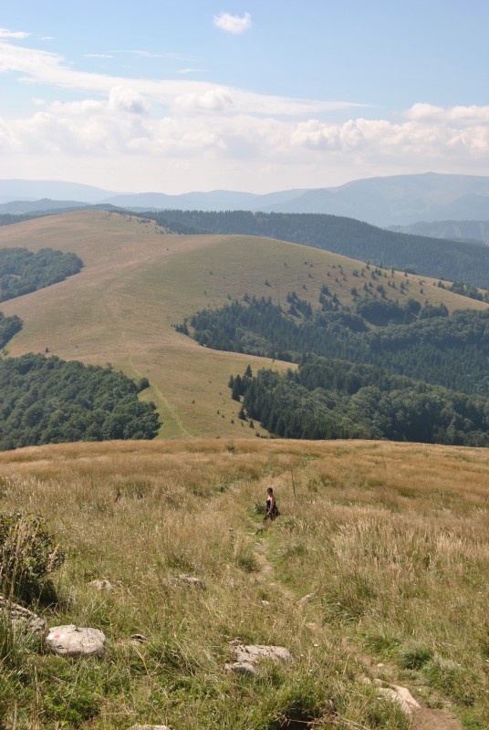 pepajs.cz